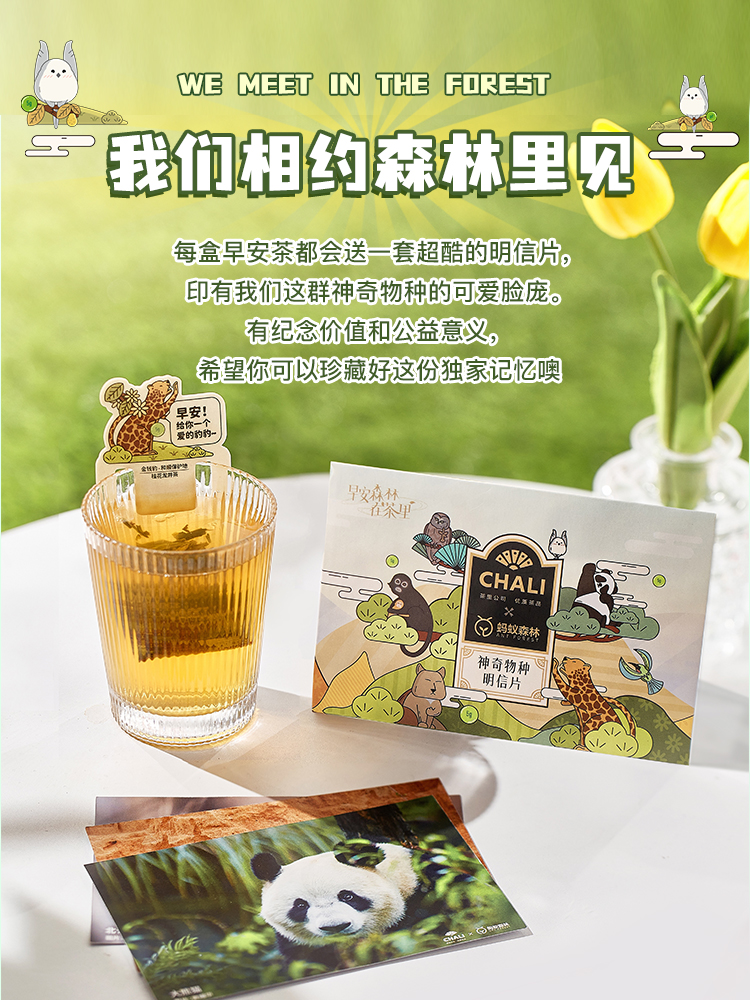 早安茶香，點亮綠色生活——CHALI茶里×螞蟻森林聯名花果茶體驗
